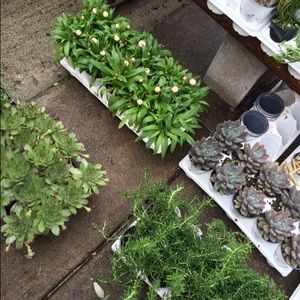 Meet your Posher, Morgan