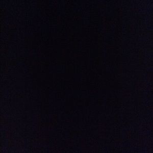 Meet your Posher, Joey