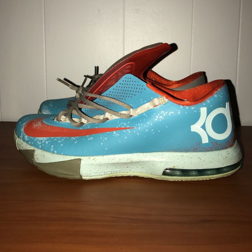 Maryland blue crab kd 6