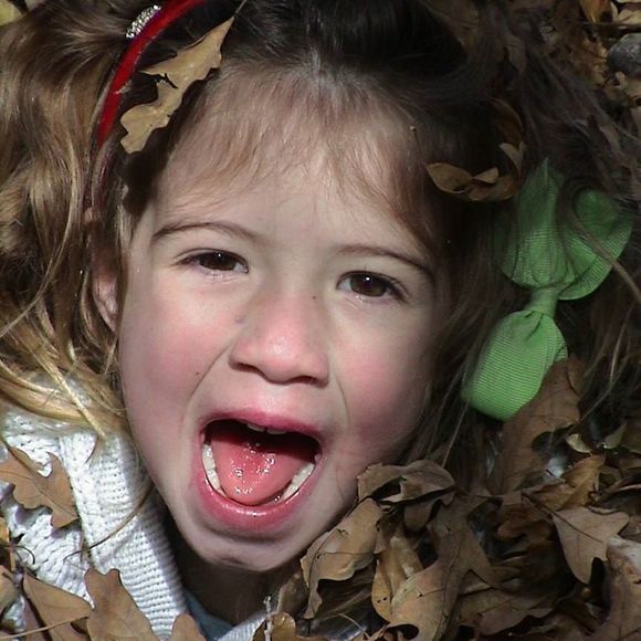 Meet your Posher, Eden - Picture 1 of 1