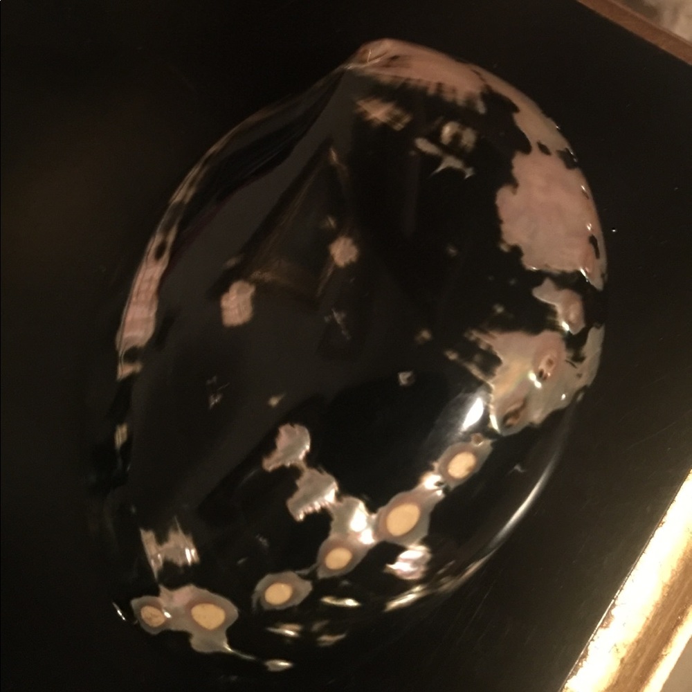 Shell 🐚 Belt buckle