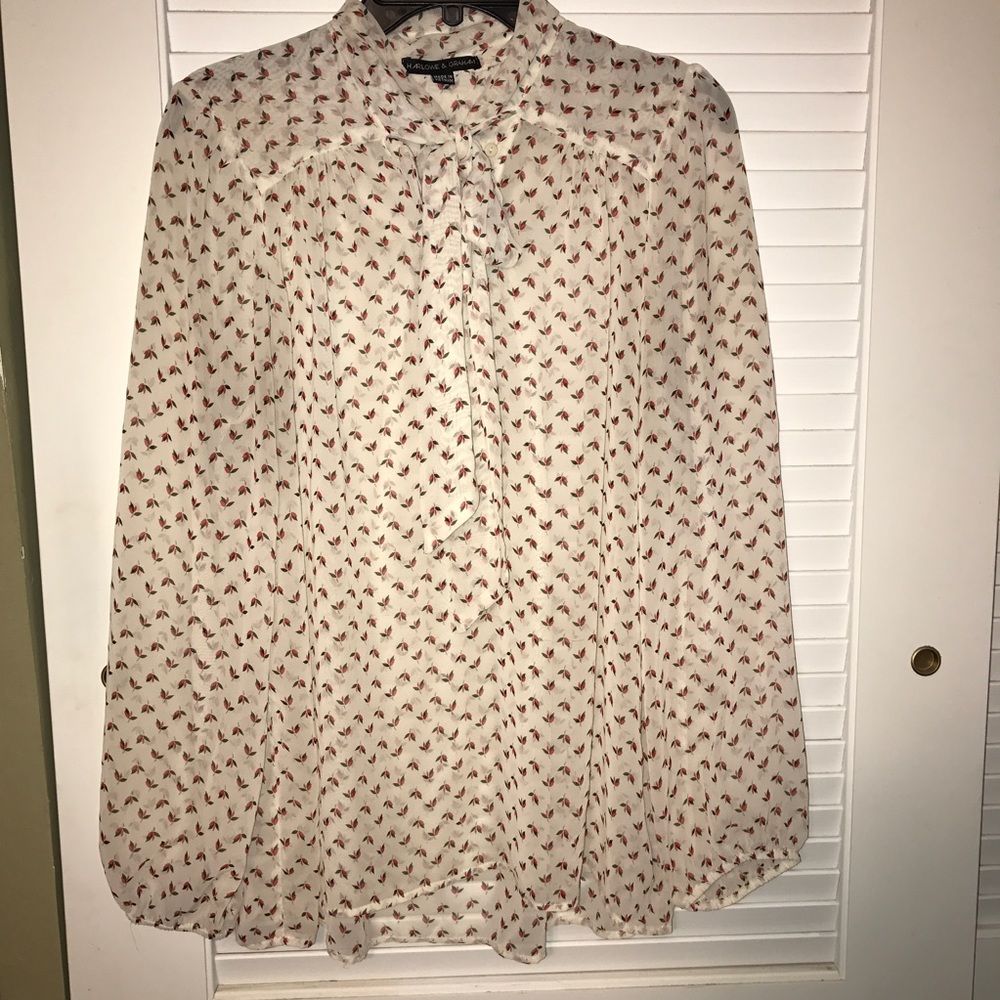 Long sleeve tie neck sheer Blouse