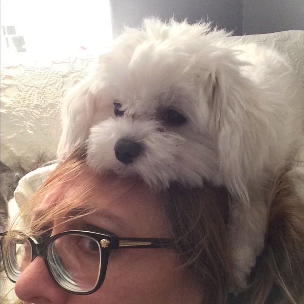 Meet your Posher, Ronni