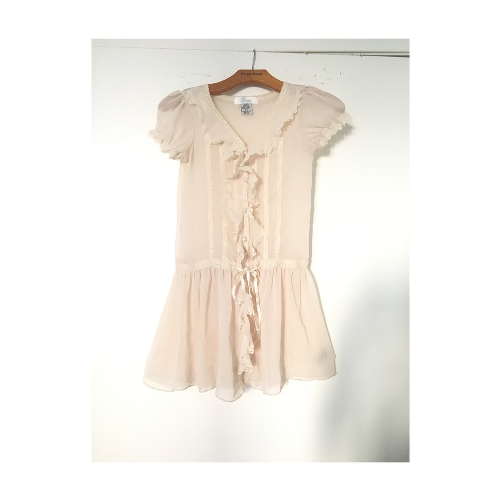 Sheer polyester dress