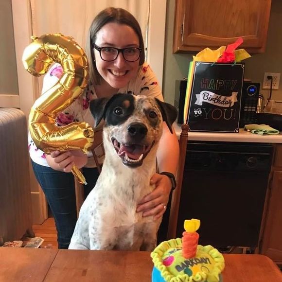 Meet your Posher, Kate - Picture 1 of 1