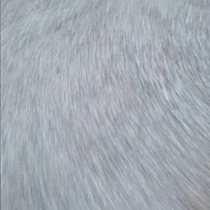 Meet your Posher, Liz