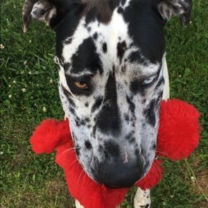 Meet your Posher, Leah