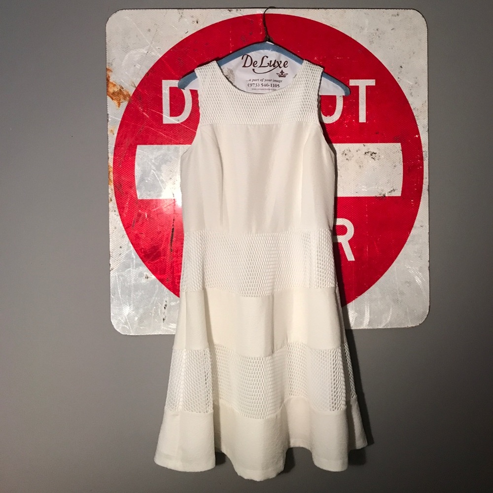 Ann Taylor Mesh Dress