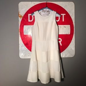 Ann Taylor Mesh Dress