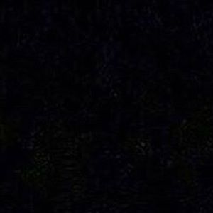 Meet your Posher, Damonei