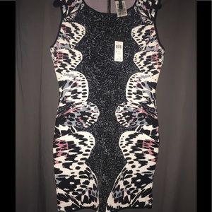 BCBG bodycon dress