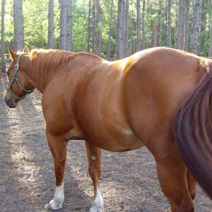 Meet your Posher, Sandy