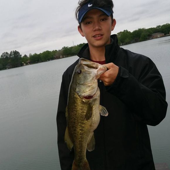 Meet your Posher, Logan - Picture 1 of 1