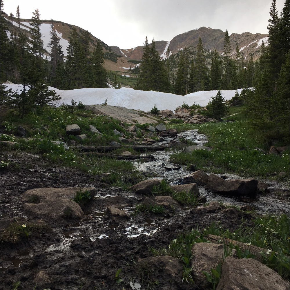 Meet your Posher, Esther