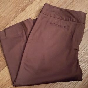 Cato Capri Pants