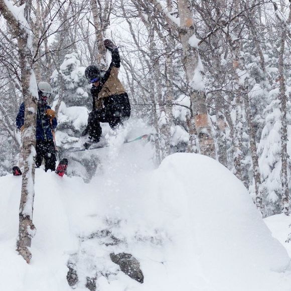 Meet your Posher, Daniel - Picture 1 of 1