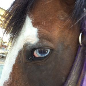 Meet your Posher, Cindy