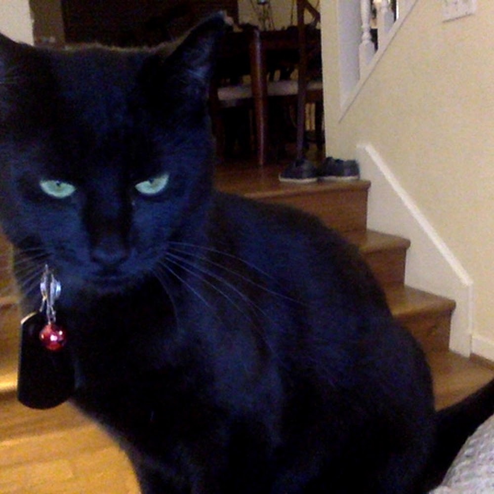 Meet your Posher, Joanna