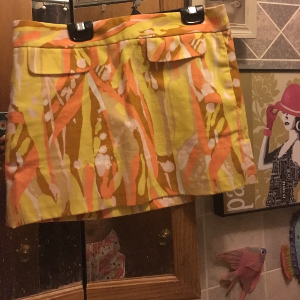 Jcrew skirt