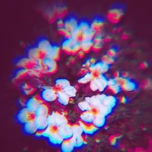 Meet your Posher, Ericka