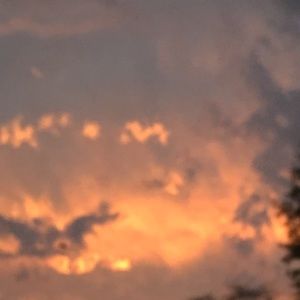 Meet your Posher, Talia