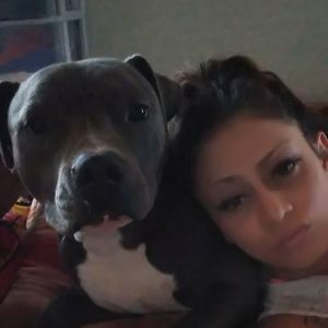 Meet your Posher, Sofia