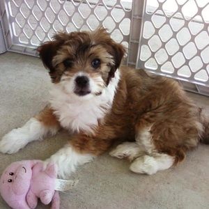 Meet your Posher, Reynelle