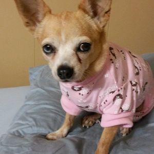 Meet your Posher, Michele