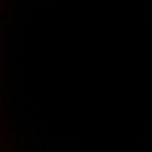 Meet your Posher, Willie