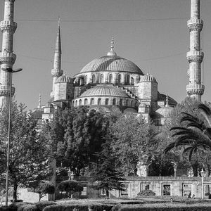 Meet your Posher, Bayram