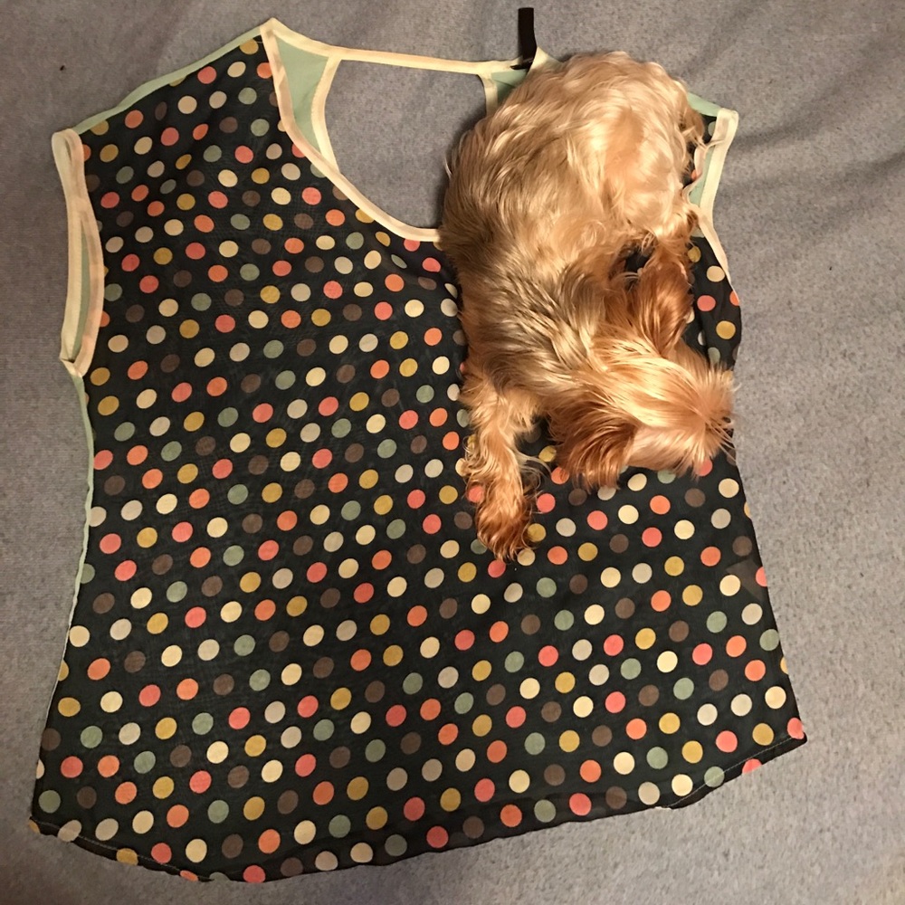 Polka dot see through Blouse