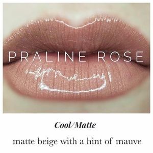 LipSense Praline Rose