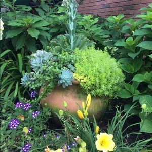 Meet your Posher, Holly