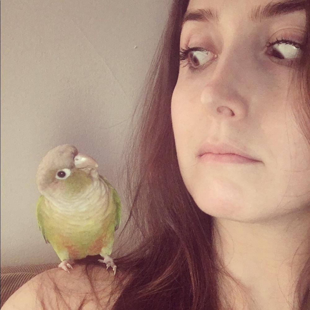 Meet your Posher, Amy