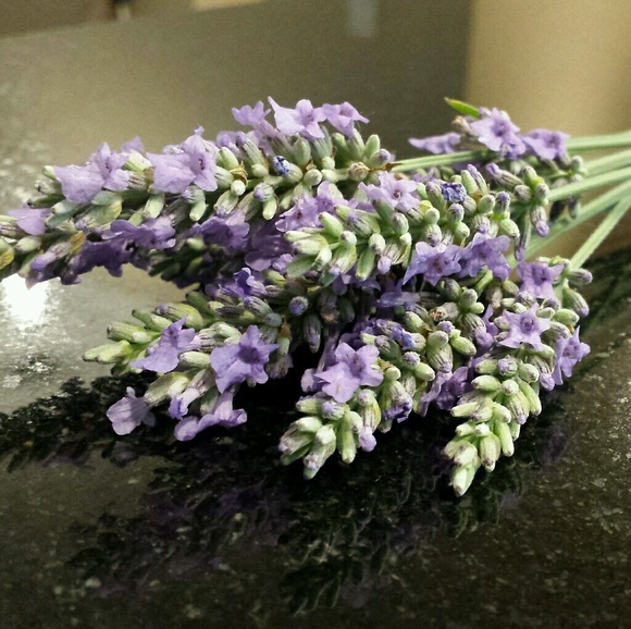 Meet your Posher, Lisa - Picture 1 of 1