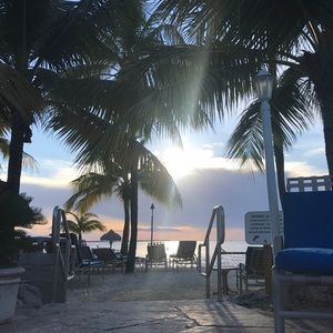 Meet your Posher, Giselle