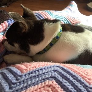 Meet your Posher, Ann