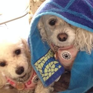 Meet your Posher, Valerie