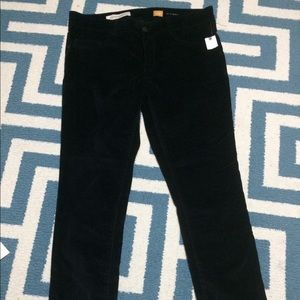 NWT anthropologie pilcro black velvet pants