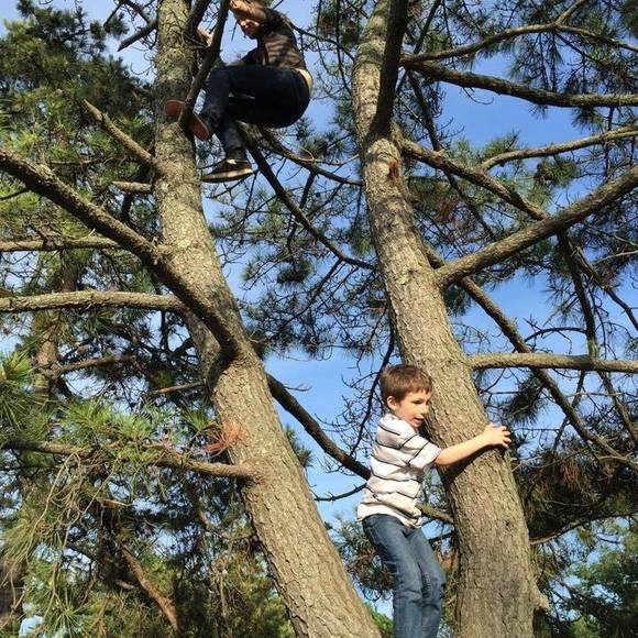 Meet your Posher, Ryan - Picture 1 of 1