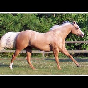 Meet your Posher, Barbara