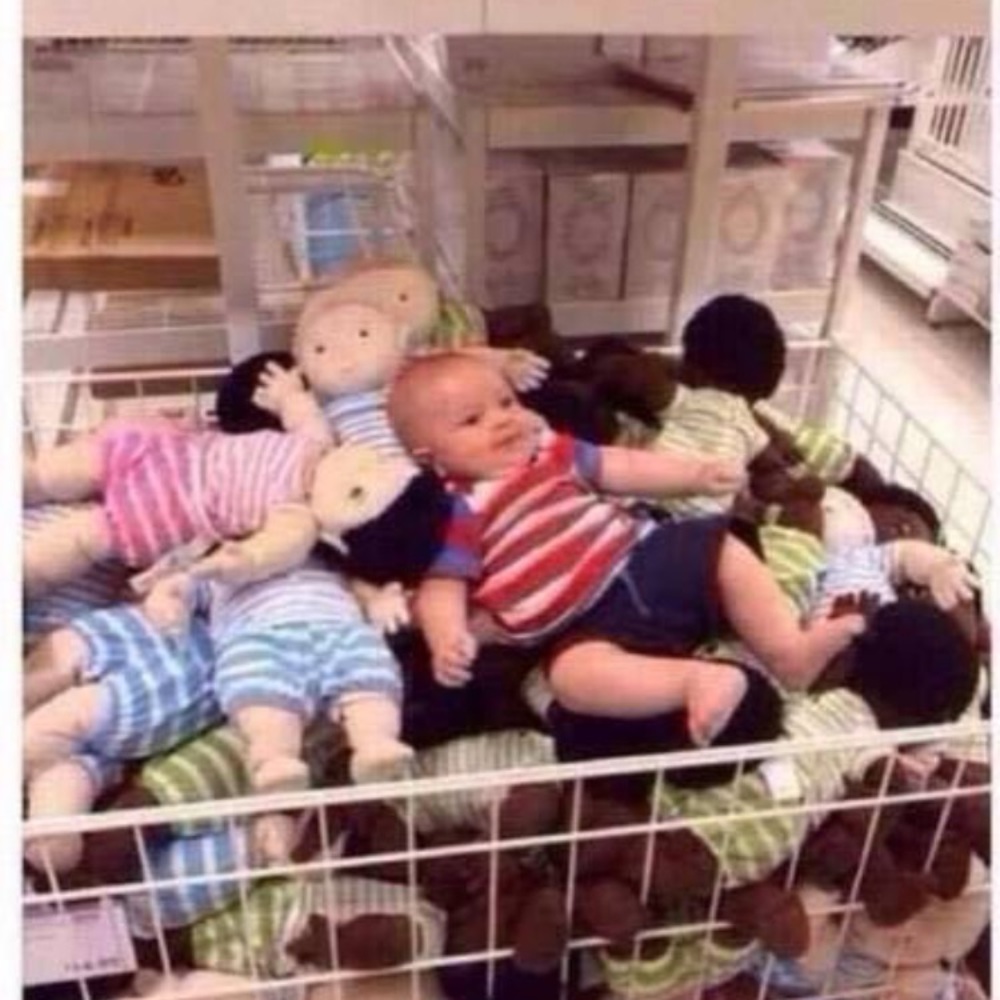 Meet your Posher, Dawn