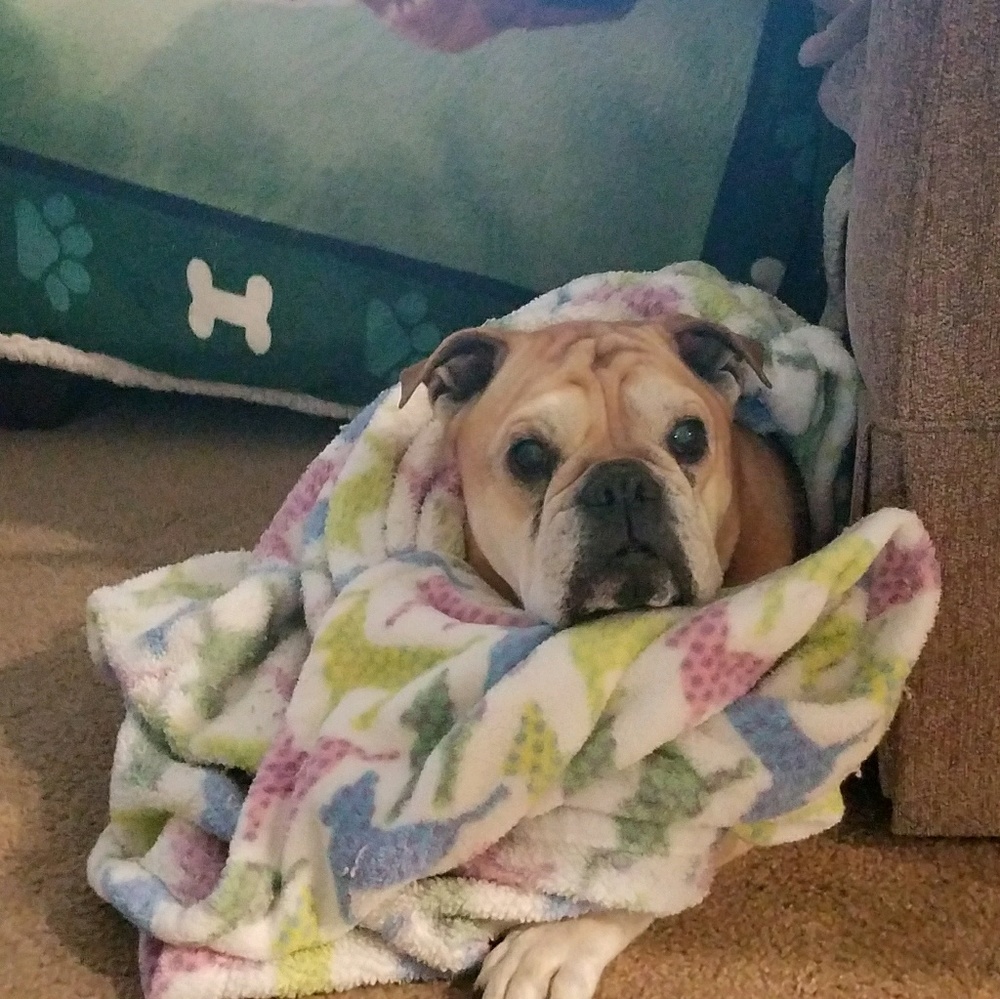 Meet your Posher, Sherrie