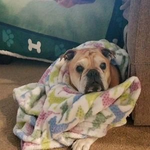 Meet your Posher, Sherrie