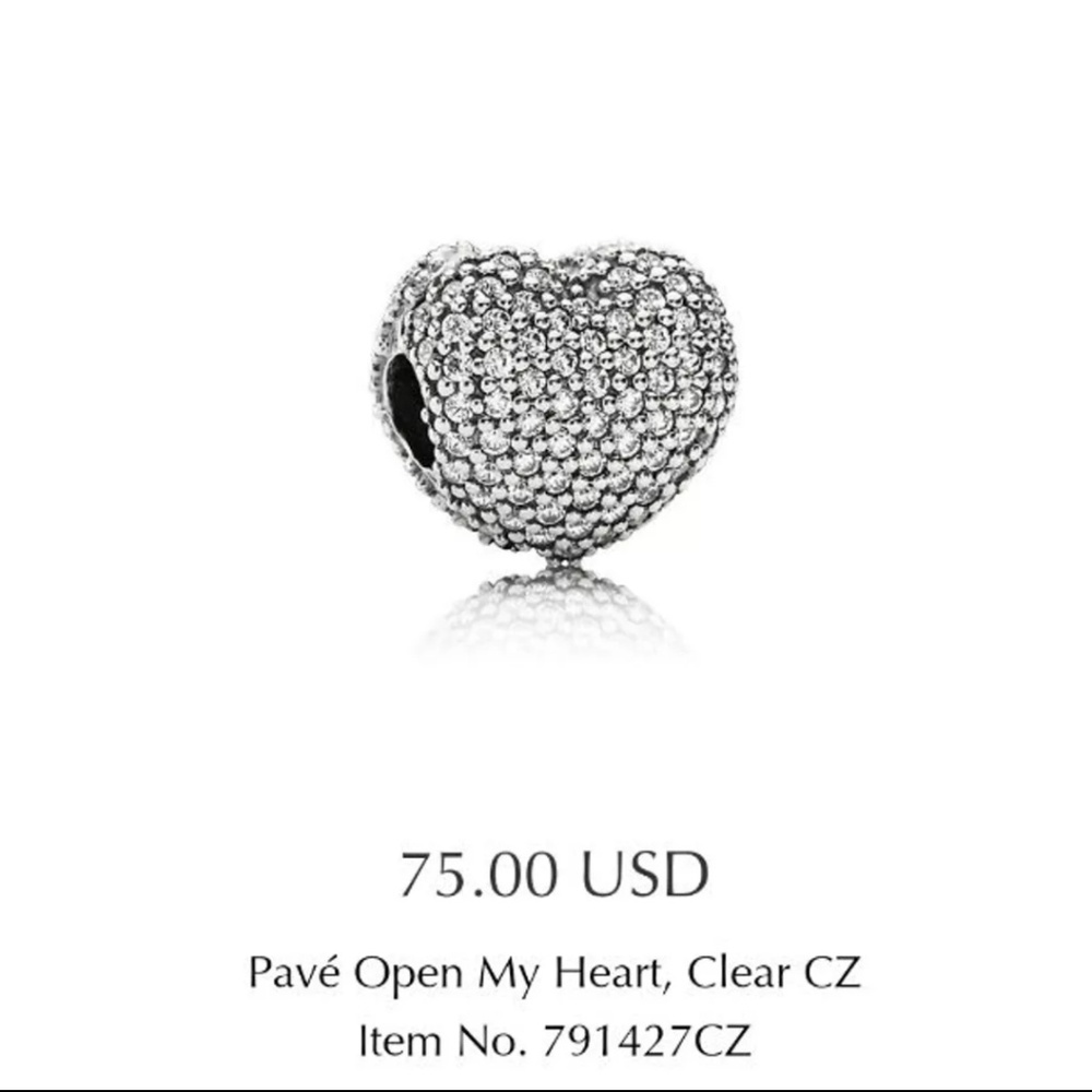 BEAUTIFUL PANDORA CHARM
