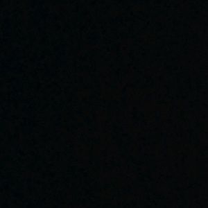 Meet your Posher, Abigail