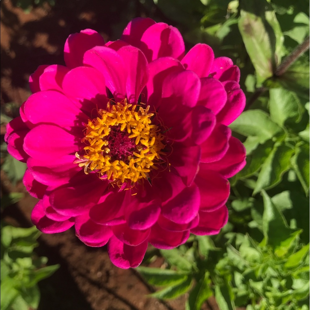 Meet your Posher, Staci