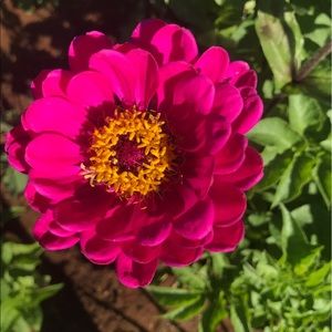 Meet your Posher, Staci