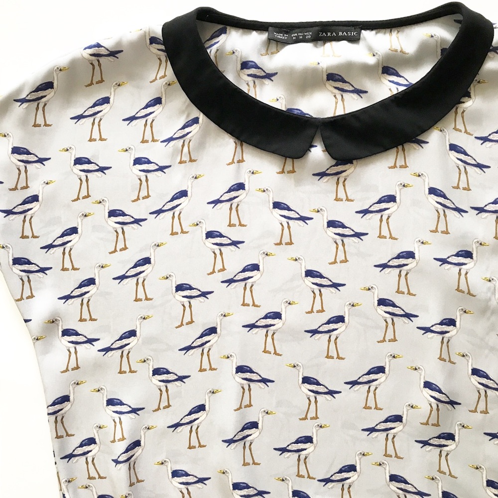 Zara Peter Pan Collar Top