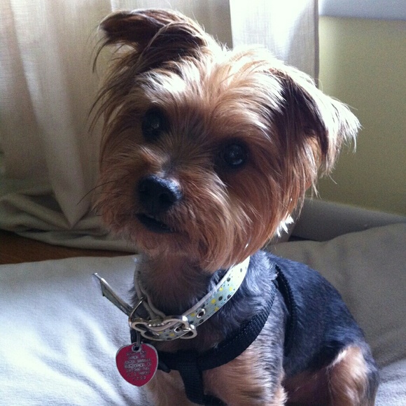 Welcome to my Closet! - Picture 2 of 3